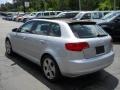 Light Silver Metallic 2006 Audi A3 3.2 S Line quattro Exterior