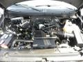 4.6 Liter SOHC 16-Valve Triton V8 2009 Ford F150 XL SuperCrew Engine
