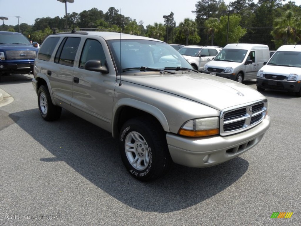 2002 Durango SLT - Light Pewter Metallic / Dark Slate Gray photo #1