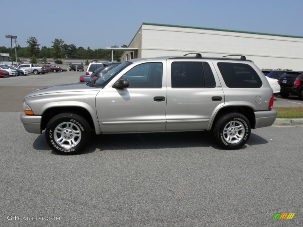 Light Pewter Metallic 2002 Dodge Durango SLT Exterior Photo #50119515