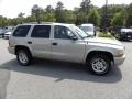 Light Pewter Metallic - Durango SLT Photo No. 14