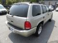 Light Pewter Metallic - Durango SLT Photo No. 15