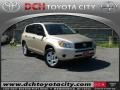 Savannah Metallic - RAV4 4WD Photo No. 1
