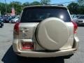 Savannah Metallic - RAV4 4WD Photo No. 6