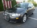 Lava Grey Pearl 2006 Audi A3 2.0T Exterior