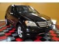 Black - ML 350 4Matic Photo No. 1