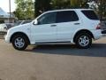 Polar White - ML 320 4Matic Photo No. 2