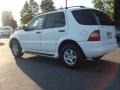 Polar White - ML 320 4Matic Photo No. 3