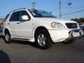 Polar White - ML 320 4Matic Photo No. 6