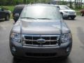 2011 Sterling Grey Metallic Ford Escape XLT 4WD  photo #3