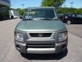 2004 Galapagos Green Metallic Honda Element EX AWD  photo #6