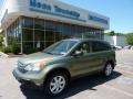 2008 Green Tea Metallic Honda CR-V EX 4WD  photo #1