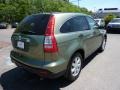 2008 Green Tea Metallic Honda CR-V EX 4WD  photo #4