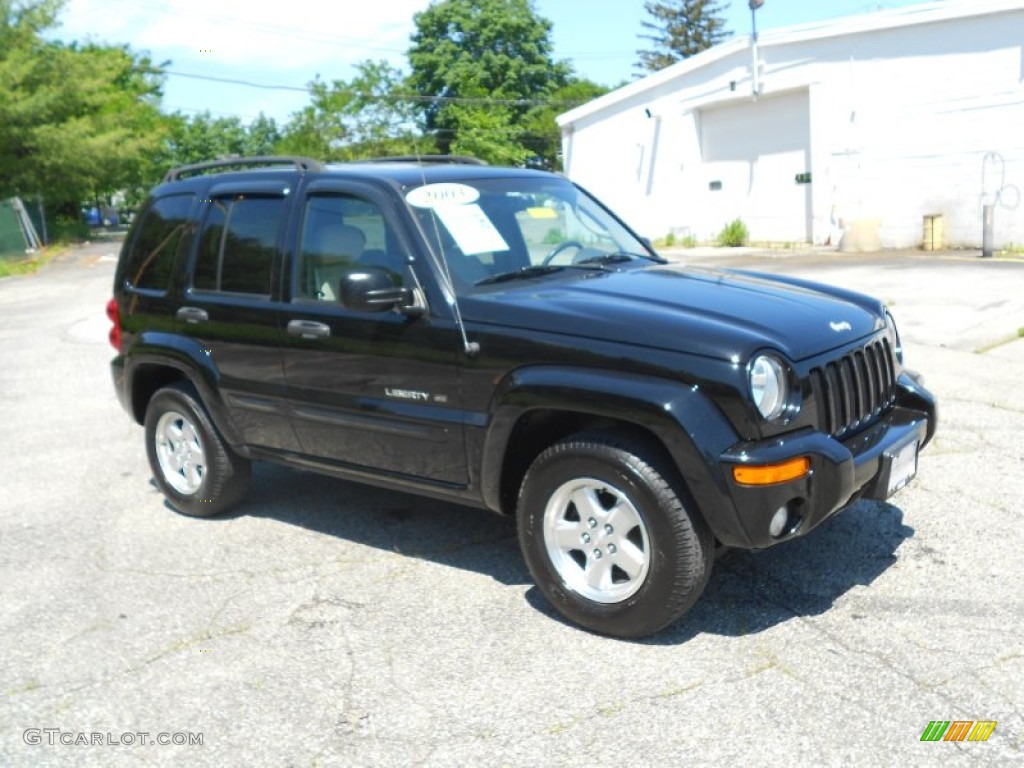 Black Clearcoat Jeep Liberty