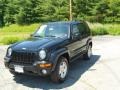 2003 Black Clearcoat Jeep Liberty Limited 4x4  photo #20