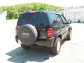 2003 Black Clearcoat Jeep Liberty Limited 4x4  photo #21