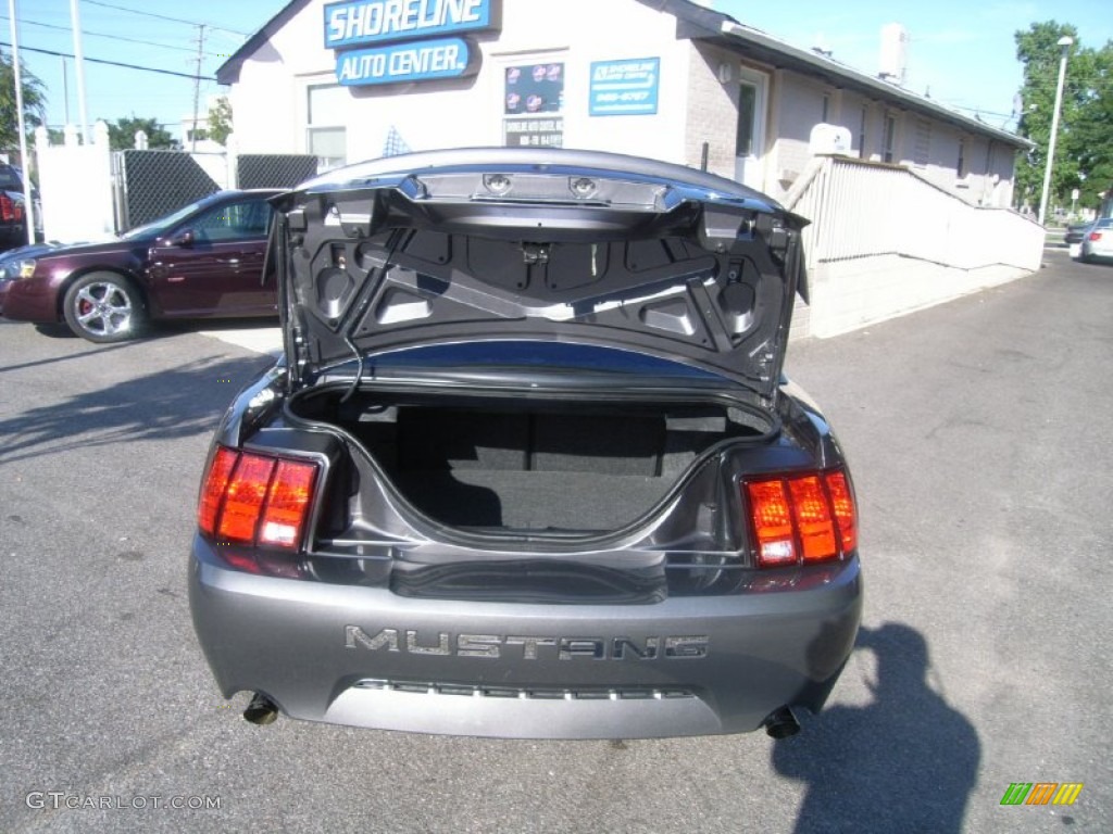2003 Mustang GT Coupe - Dark Shadow Grey Metallic / Dark Charcoal photo #10