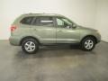 Natural Khaki Green - Santa Fe GLS 4WD Photo No. 11