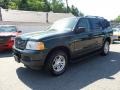 2003 Aspen Green Metallic Ford Explorer XLT 4x4  photo #1