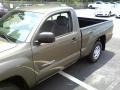 Pyrite Brown Mica - Tacoma Regular Cab Photo No. 19