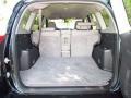 2009 Black Forest Pearl Toyota RAV4 I4  photo #19