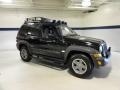 Black Clearcoat - Liberty Renegade 4x4 Photo No. 6