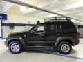 Black Clearcoat - Liberty Renegade 4x4 Photo No. 10