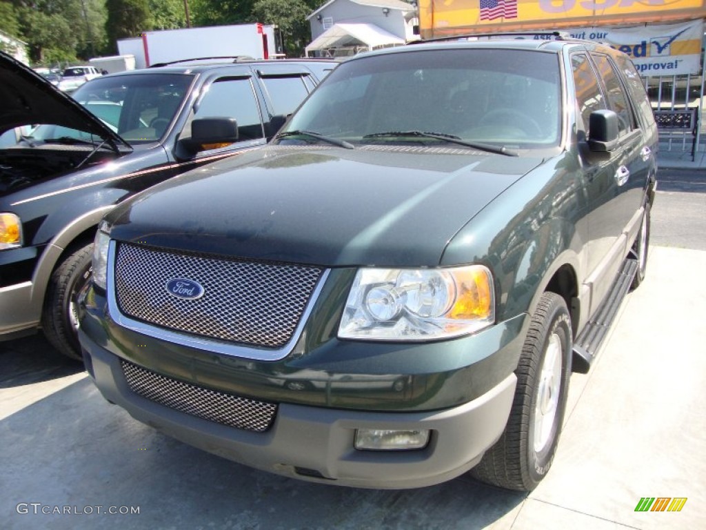 2003 Expedition XLT - Aspen Green Metallic / Medium Parchment photo #1