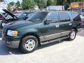 Aspen Green Metallic - Expedition XLT Photo No. 3