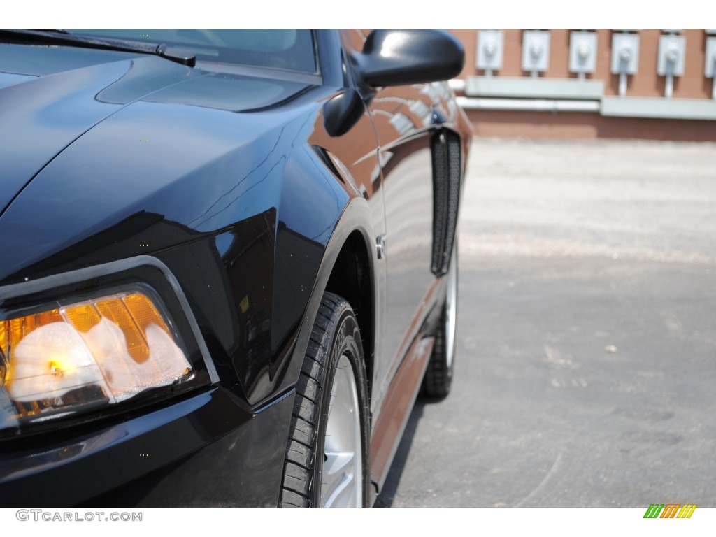 2001 Mustang GT Coupe - Black / Medium Graphite photo #3