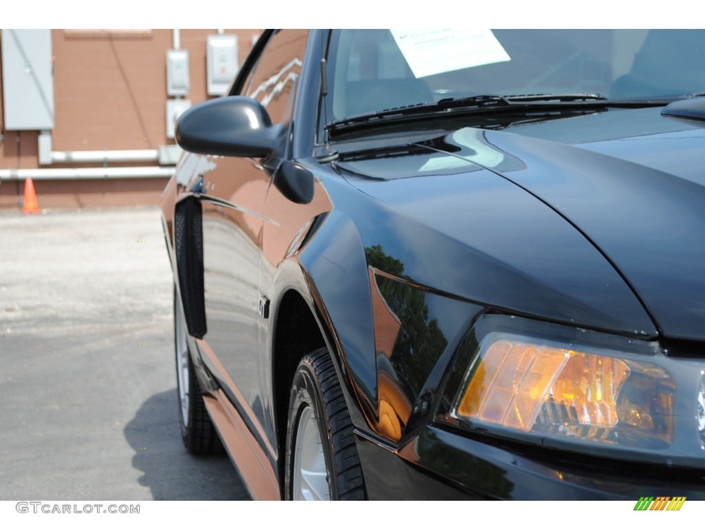 2001 Mustang GT Coupe - Black / Medium Graphite photo #12