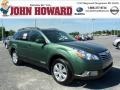 2011 Cypress Green Pearl Subaru Outback 2.5i Premium Wagon  photo #1