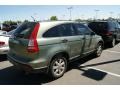 2007 Green Tea Metallic Honda CR-V EX 4WD  photo #2