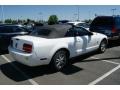 2009 Performance White Ford Mustang V6 Convertible  photo #2