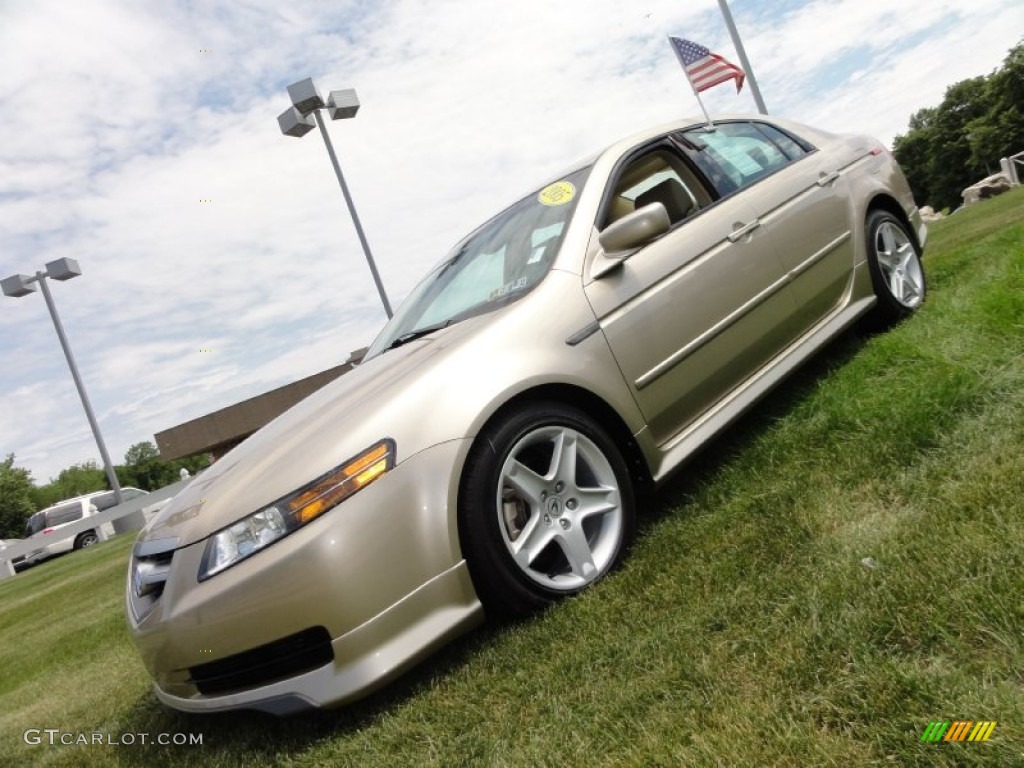 Desert Mist Metallic Acura TL