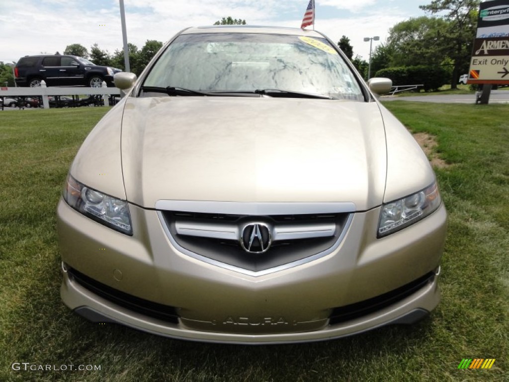 2005 TL 3.2 - Desert Mist Metallic / Camel photo #3