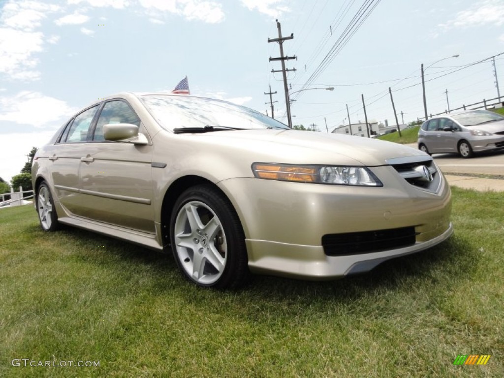 2005 TL 3.2 - Desert Mist Metallic / Camel photo #5