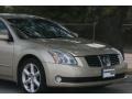 Champagne Mist Metallic - Maxima 3.5 SE Photo No. 12