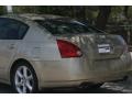 Champagne Mist Metallic - Maxima 3.5 SE Photo No. 19
