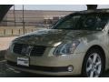Champagne Mist Metallic - Maxima 3.5 SE Photo No. 20