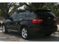 Jet Black - X5 3.0si Photo No. 18