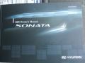 Ebony Black - Sonata GLS Photo No. 17