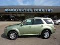 Kiwi Green Metallic 2010 Mercury Mariner I4 Premier 4WD