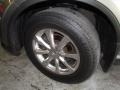 Sheer Platinum Metallic - FX 35 AWD Photo No. 19