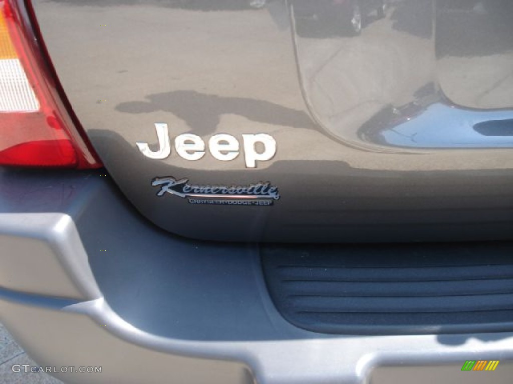 2004 Grand Cherokee Laredo - Graphite Metallic / Dark Slate Gray photo #34