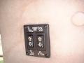 Neutral Controls Photo for 2000 Chevrolet Express #50181869