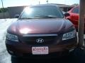 Dark Cinnamon - Sonata GLS V6 Photo No. 2