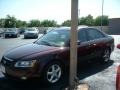 Dark Cinnamon - Sonata GLS V6 Photo No. 3