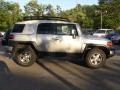 Titanium Metallic - FJ Cruiser 4WD Photo No. 6