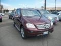 Barolo Red Metallic - ML 350 4Matic Photo No. 1
